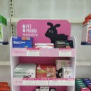 마천스타약국 이미지