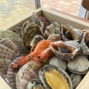 편백향기 이미지