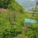 부용골농장 이미지