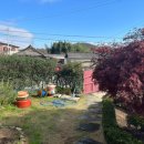 스텔라의 행복정원 이미지