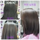 큐사랑(천연머리염색)