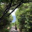 귤림청과 | 제주여행: 큰엉해안경승지, 호로록 고기국수, 도렐커피, 동문시장, 귤림청과