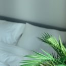 제이엔에스 이미지