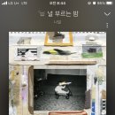 또몽 네이버블로그