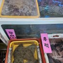감포인 | 경주 감포 맛집 수협활어직판장 8번 형제수산 추천 후기