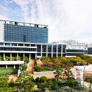 행정사법인 부산 이미지