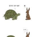 토끼와거북이 Daum카페