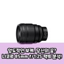니코르 85mm f/1.2S, 인물 사진 끝판왕? 구매 전 꼭 알아야 할 팩트 체크!