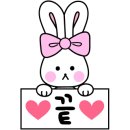 브라운래빗 구리토평점