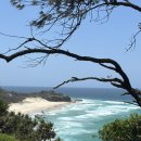 저두 선착장 공중화장실 | 브리즈번 근교 노스 스트라드브로크 섬 페리 예약 모튼섬 취소 후기