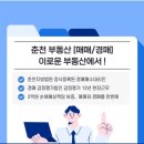 춘천롯데공인중개사사무소 이미지