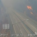 서의성IC 이미지