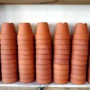 월평4호 이미지