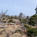 관음사 가는길 이미지