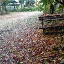 43번가 게스트하우스 이미지