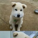 굿모닝스파 네이버블로그