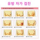 대일유외과의원 이미지