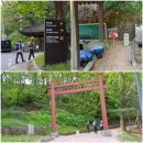 싱그러운 5월의 봄날에 서울둘레길 길동무님들과의 평화누리길 제11코스 임진적벽길 동행(同幸) 트레킹 이미지