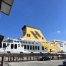 터미널성인오락실 | [제주여행] 완도 ▶️ 제주행 배 출항 “골드스텔라” 예매 가격 차 출항 후기