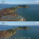 '삼시세끼' 측 "죽굴도 화재 책임 통감, 산림복원 위해 최선 노력" 이미지