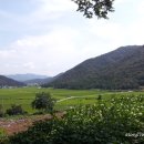 사문안골 이미지