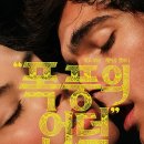 언덕 | 영화 폭풍의 언덕 후기 리뷰 스포 줄거리 결말 쿠키 평점 정보