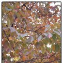 면목2동주민센터 이미지