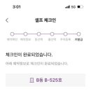 체스터톤스 - 34445 | 체스터톤스