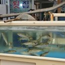 월봉시장 이미지