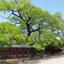 성곡중학교 이미지