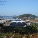 소안면-1 이미지