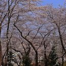 연어의고향 이미지