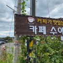 카페수아비 - 안성시 내둔길 20 | [경기안성 일죽] 커피가 맛있는 카페 수아비