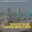 서해동물병원 | 반려견과 반나절 코스 제부도 매바위 나들이, 주차장 애견동반 식당, 물 때 정보