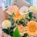 설유화플라워 - 강서구 공항대로38길 106 | 설유화플라워