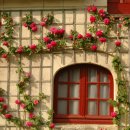 성만농장 이미지