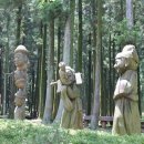 절물자연휴양림 이미지