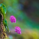 너랑나랑 펜션 민박 이미지