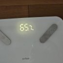 내돈내산 마운자로 후기 7편