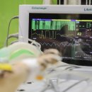 나은동물병원 이미지