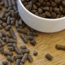 청라호수동물메디컬센터 이미지