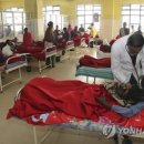 고라농장 이미지