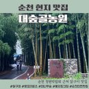 순천여행 현지인추천 필수코스 정원박람회 근처 닭구이 맛집 대숲골농원 내돈내산 후기