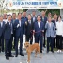 개와 사람(애견호텔) 이미지