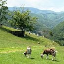 동원목장 이미지