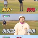 쌍쌍 이미지