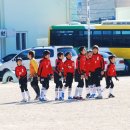 금정초등학교 Daum카페