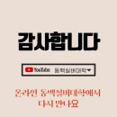 담아볼래