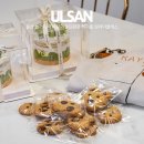 건강하고 맛있게 비건베이킹(초등) | 울산 놀거리 아이랑 가볼만한곳 레이홉 원데이클래스 w 관광두레