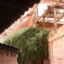 나무나무 이미지